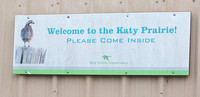 11-09-17 - Birding in the Katy Praire Area