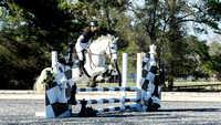 12-19-21 - Equestrian Event - Part 2 at Oli's Highbury Place